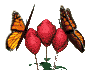 farfalle rose.gif